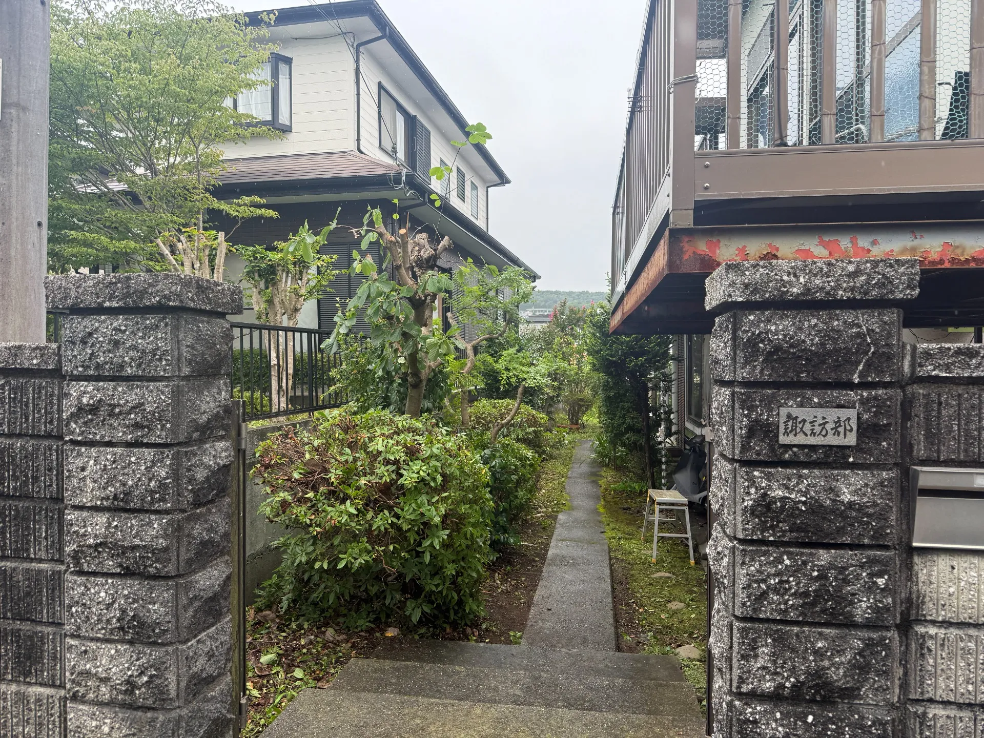 三島市|庭木の剪定・強剪定で大きくなった樹木をスッキリ