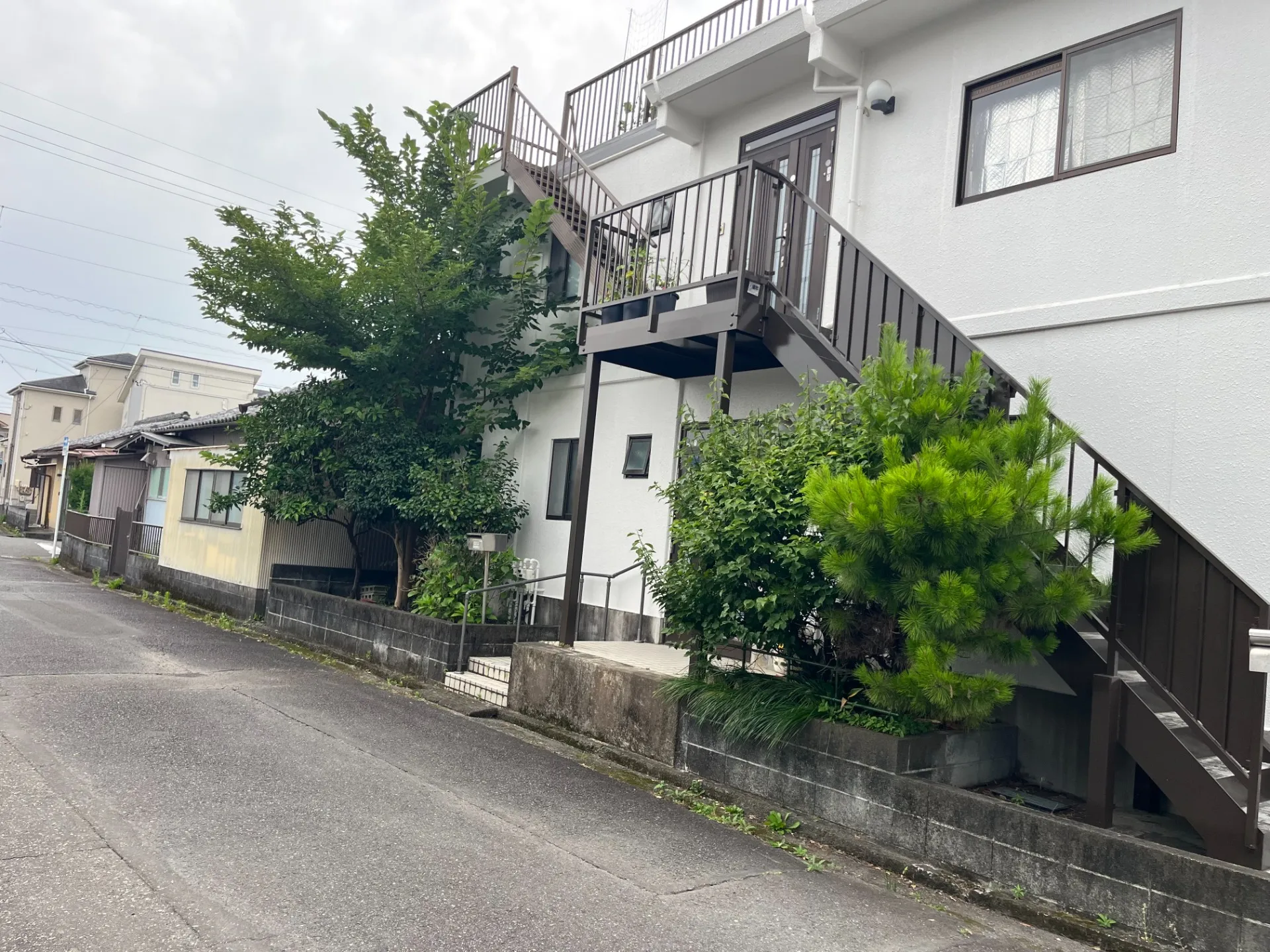 三島市|住宅まわりの庭木伐採工事