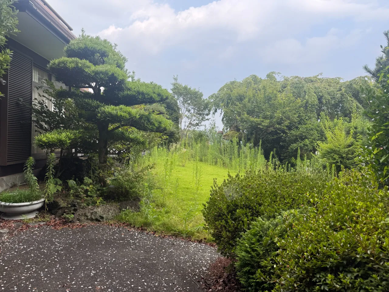 静岡市葵区|庭木・芝生・雑草の庭全体のお手入れ